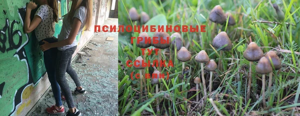 а пвп мука Беломорск