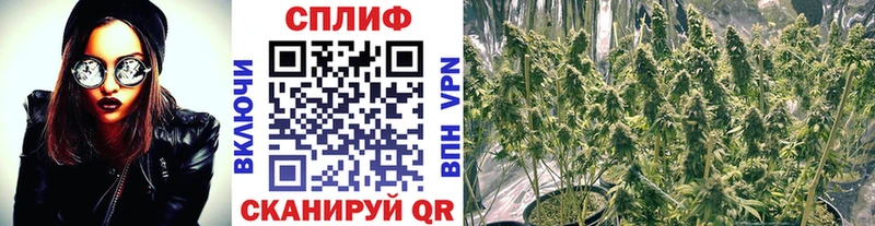 Каннабис семена Плёс